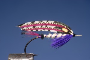 Classic Salmon Fly Turkish Delight