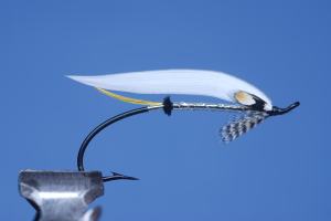 the winning fly tied by anne