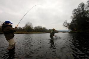 Ladies Fishing Club Salmon Days 2013 in Scotland
