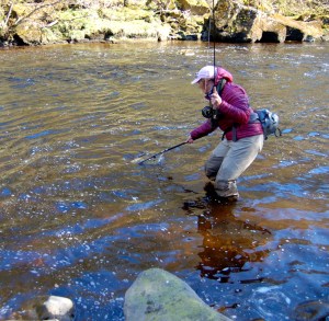 Anne into a fish on the River Tees