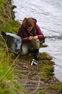 Anne Woodcock fishing the Tweed at Bluestone